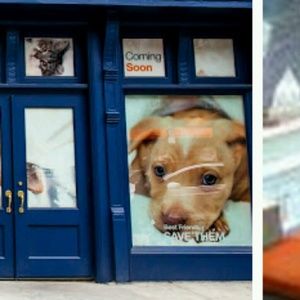 Meet your Posher, Sharell